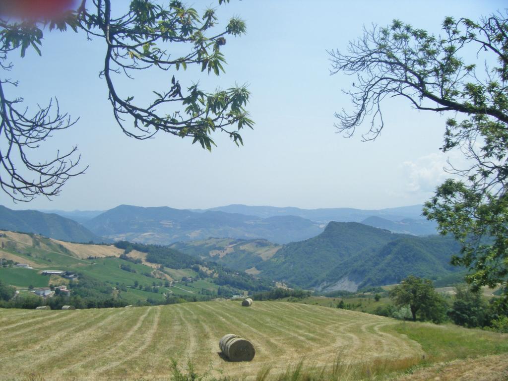 La Piana Dei Castagni Villa Castel dʼAiano Eksteriør billede