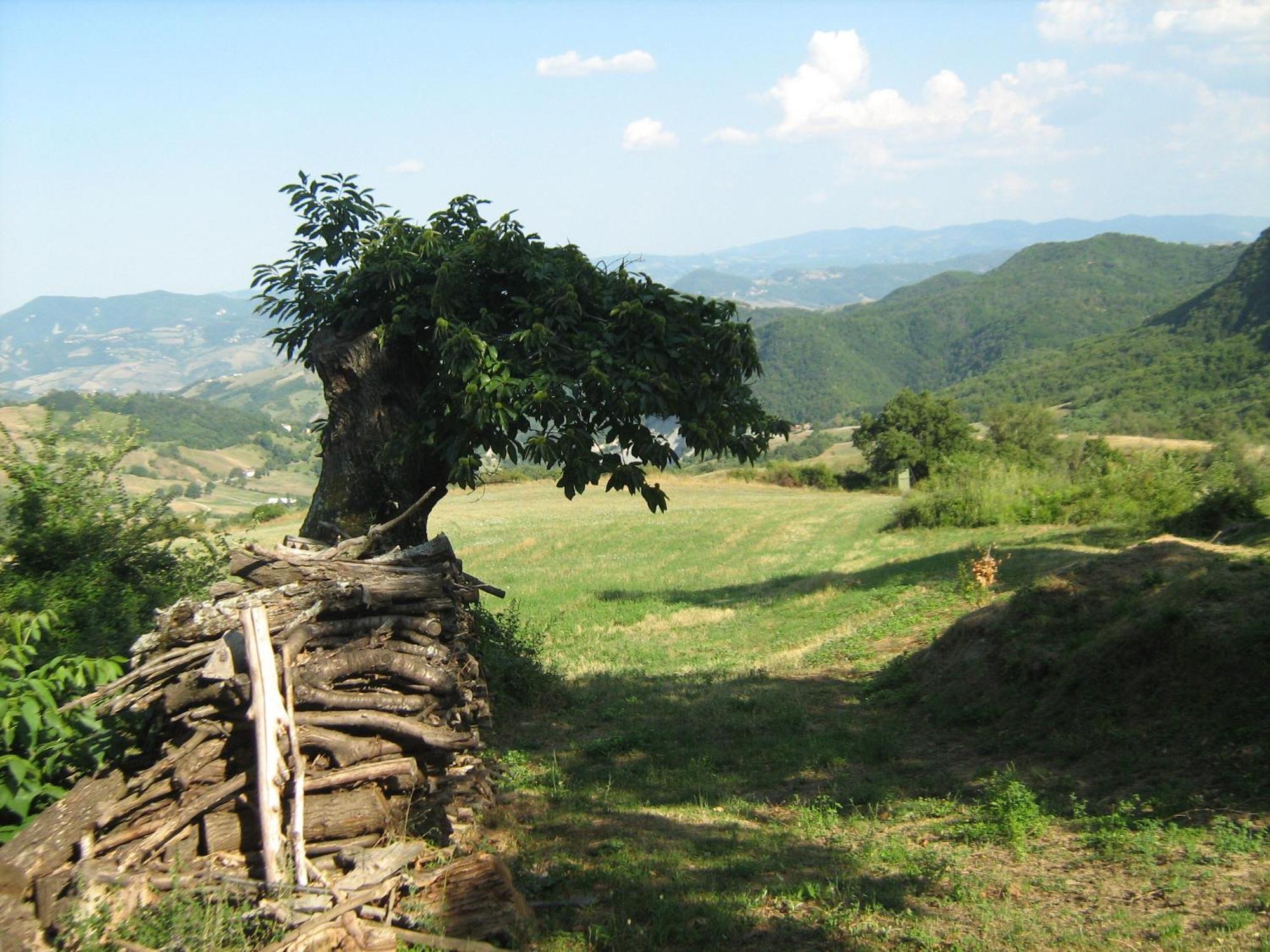 La Piana Dei Castagni Villa Castel dʼAiano Eksteriør billede