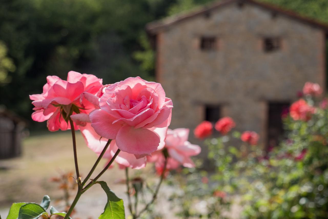 La Piana Dei Castagni Villa Castel dʼAiano Eksteriør billede
